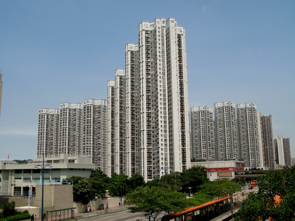 維基百科