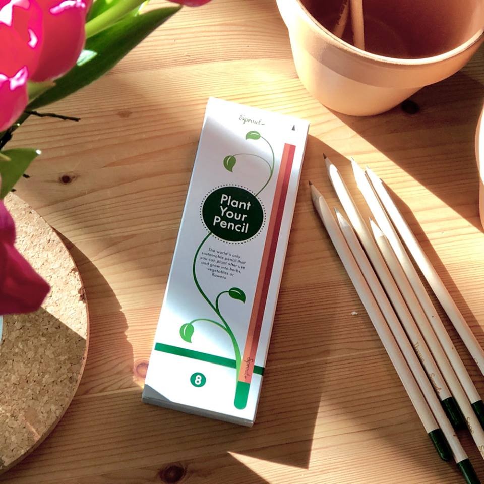 52800461_2135055579921049_4616720158184964096_n