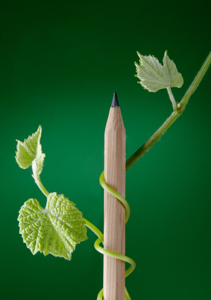 shutterstock_140942296