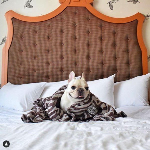 Instagram