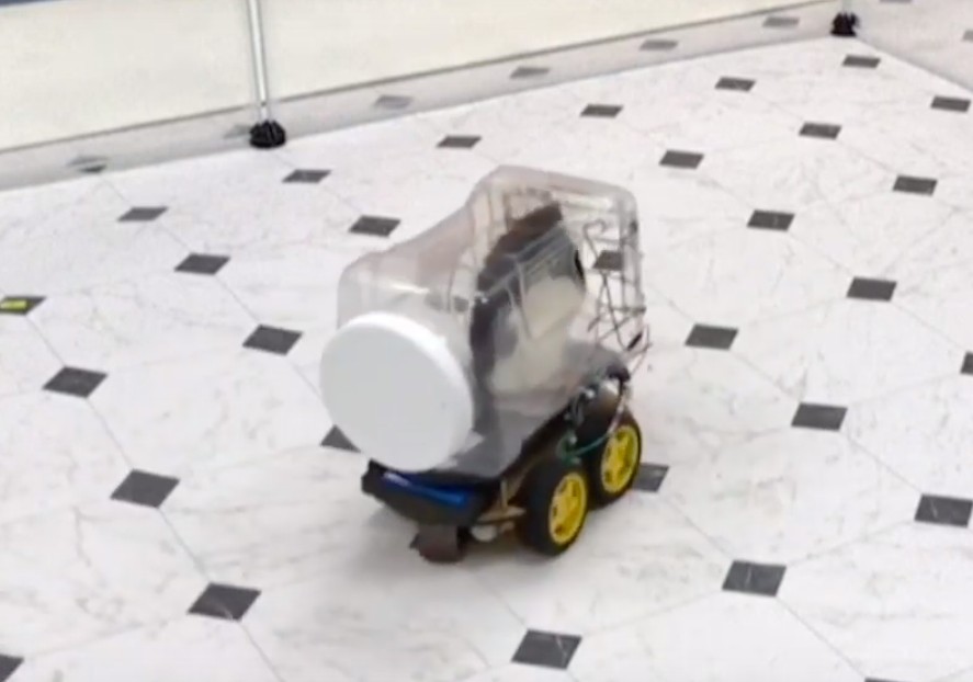 此研究日前刊登於《腦行為研究》(Behavioural Brain Research)期刊。