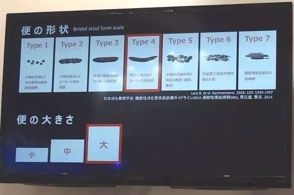 大便