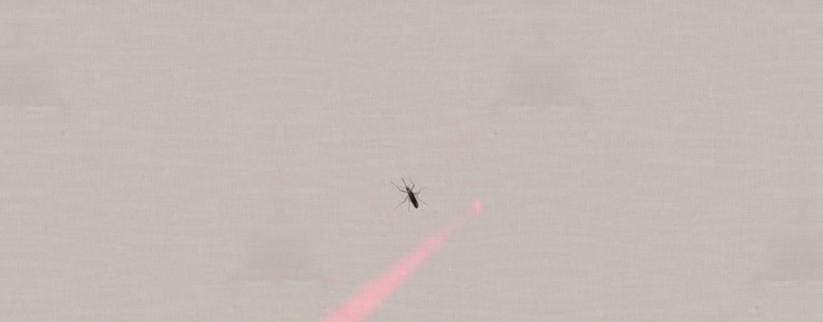 Bzigo 蚊子 雷射光