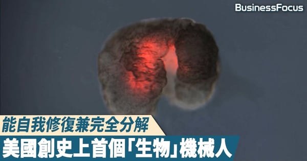 【人工智能】能自我修復兼完全分解，美國創史上首個「生物」機械人