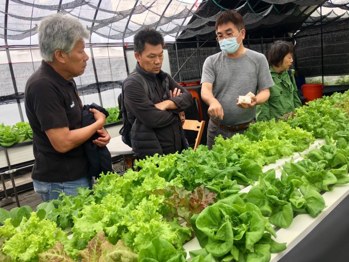 鄭勝雄 導覽 魚菜共生