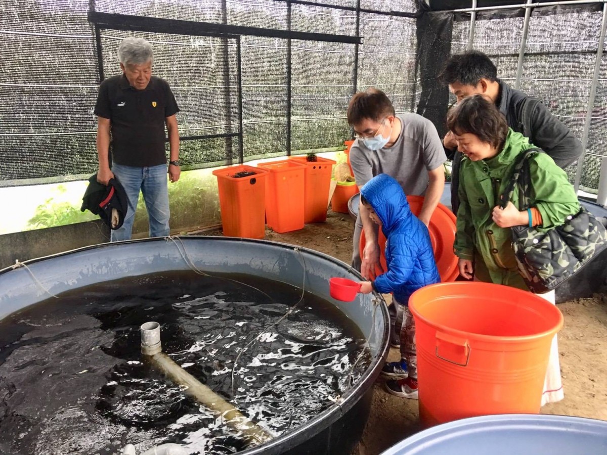 水岸小農 導覽 魚菜共生