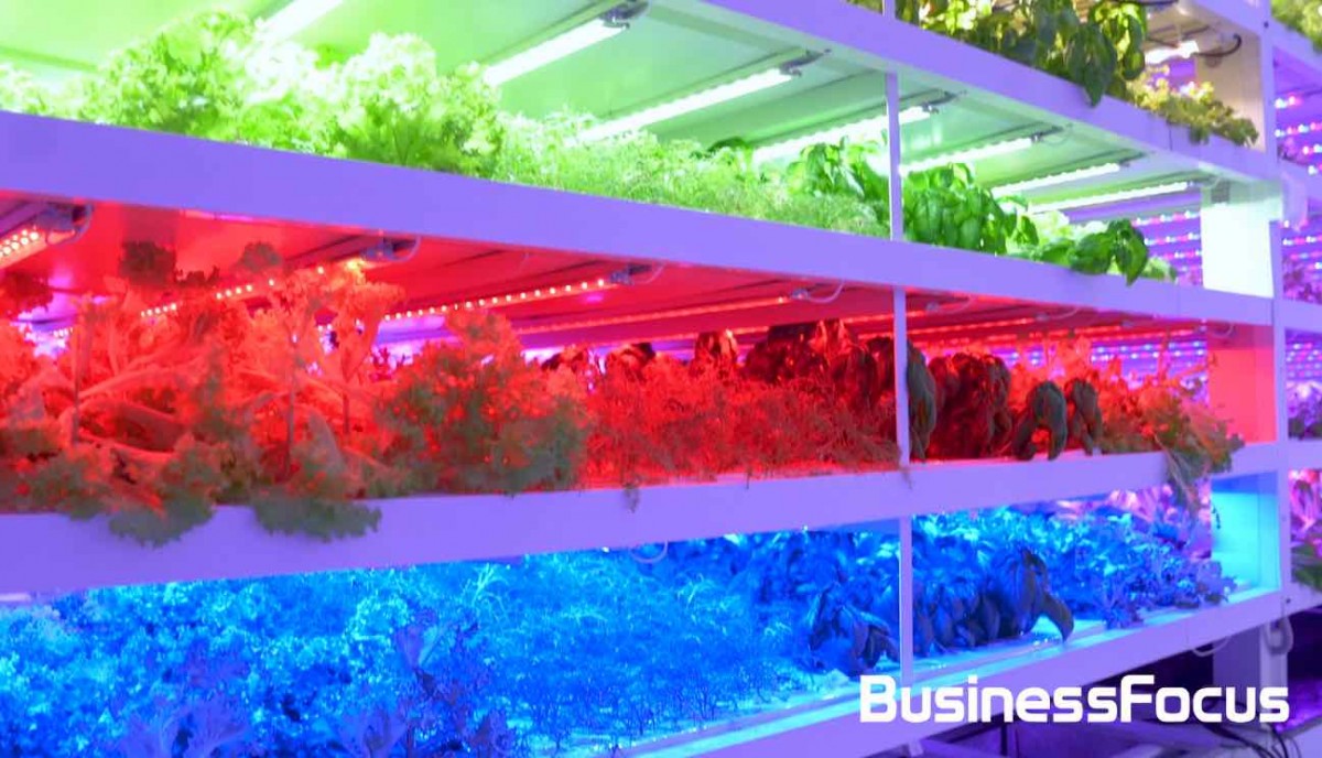 螢幕快照 2020-07-08 下午6