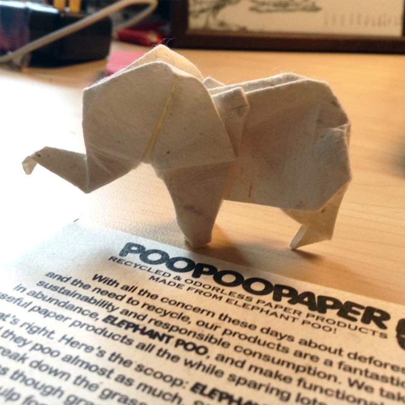 一位曾於大象保護園區工作的員工Michael Flancman,多年前與妻子創立生態造紙公司使用大象糞便製造再生紙,開展「環境友善」的商業模式,其銷售市場已成功擴展至歐美等地。