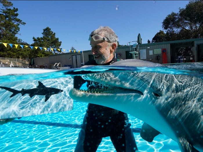 Edge Innovations發明了機械海豚，並希望在未來數年內售出150隻機械海豚。