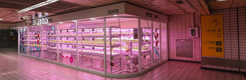 此外，Metro Farm 在一個約 200 平方米的室內，種植了生菜、羅勒和可食用花卉等30多種蔬菜。這家餐廳每天從4米長的貨架上採摘30到40公斤蔬菜，作為沙律的原料出售。