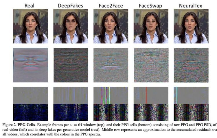 換句話說,DeepFake 演算法生成的影片,產生的 PPG 信號都有很多雜訊;真實影片的雜訊卻很少。