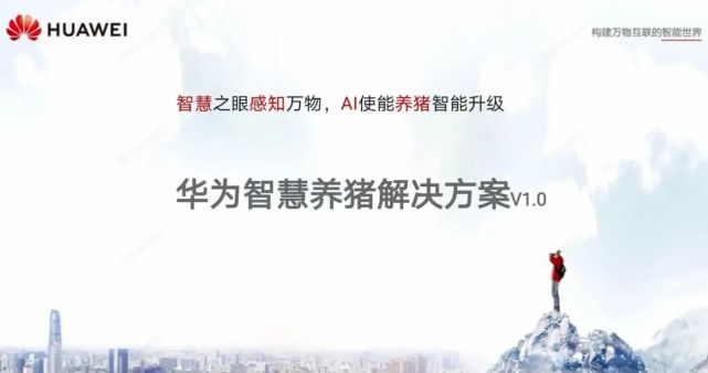 新浪