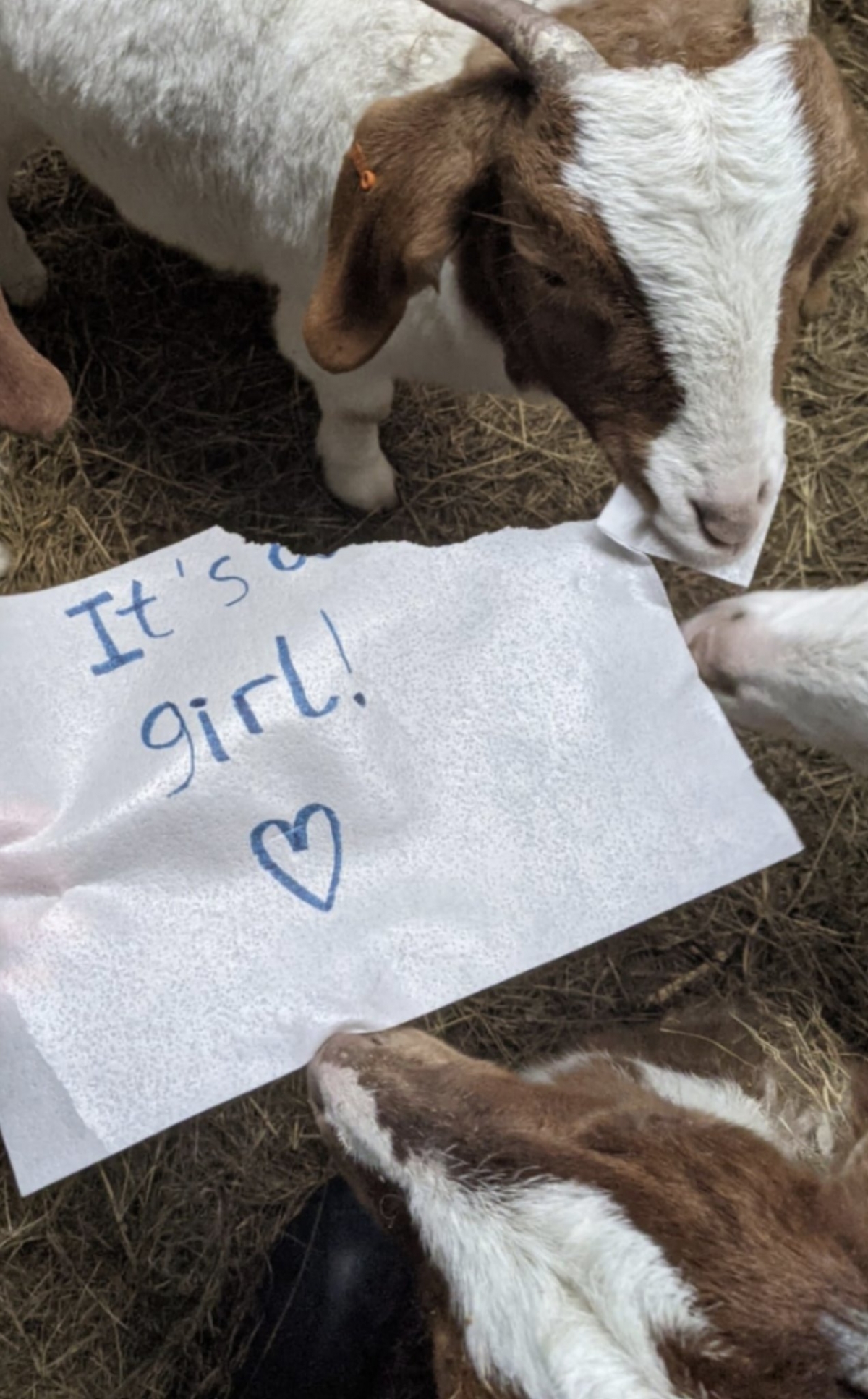 Photo from Cronkshaw Fold Farm