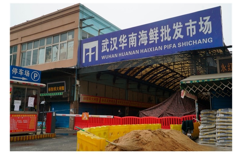 有內地科學家稱新冠病毒或由冷鏈傳入華南海鮮市場，並在武漢擴散。