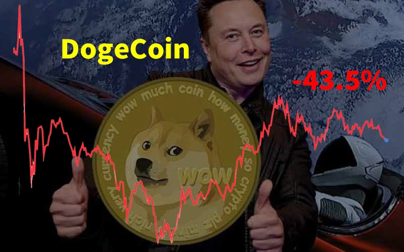musk-doge03