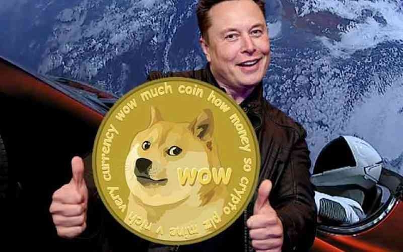 !musk-doge03