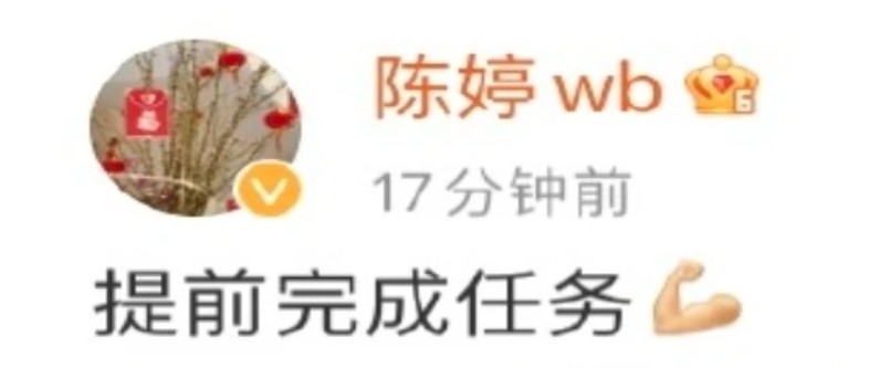 曾因超生第三名孩子被罰款的名導演張藝謀的妻子陳婷,昨在微博留言笑稱自己是「提前完成(生三孩)任務」。