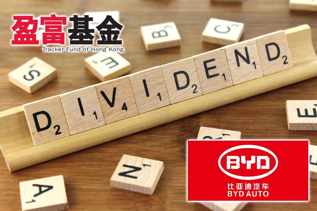 投資組合可同時包括穩定的如盈富基金及增長力強的股票如比阿迪。