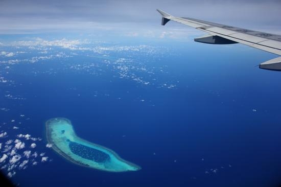 新浪