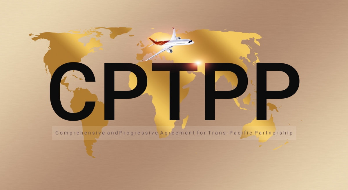 CPTPP的前身為「跨太平洋戰略經濟夥伴關係協定(TPP)」,由美國前總統奧巴馬主導成立,旨在亞太地區建立一個北京「國企主導經濟」無法達到的高標準的貿易聯盟,抗衡中國日益強大的經濟實力,以鞏固美國在亞洲的領導地位。