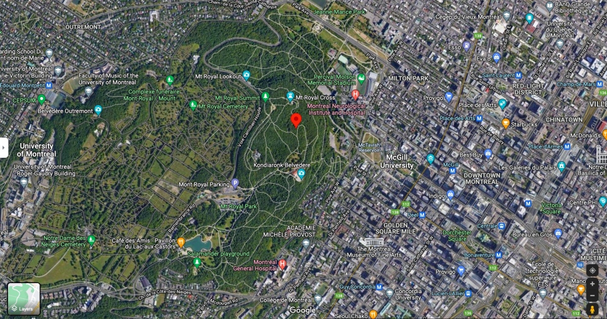 調查發現,最富裕社區Westmount 一個地區的家庭收入中位數為27萬加幣(約1663萬港幣),樹木覆蓋率為 39%,收入中位數11萬加幣的中產區Mount Royal綠化覆蓋率也有30%。