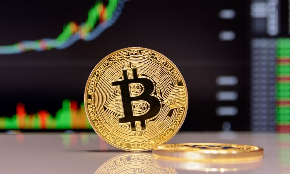 全球約3分1流通的比特幣,其實是掌握在頭1萬名個人投資者手上。