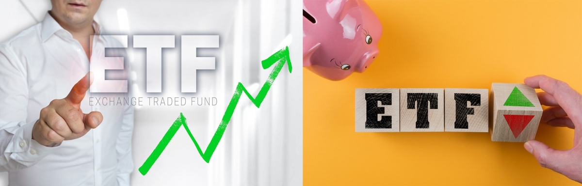BusinessFocus