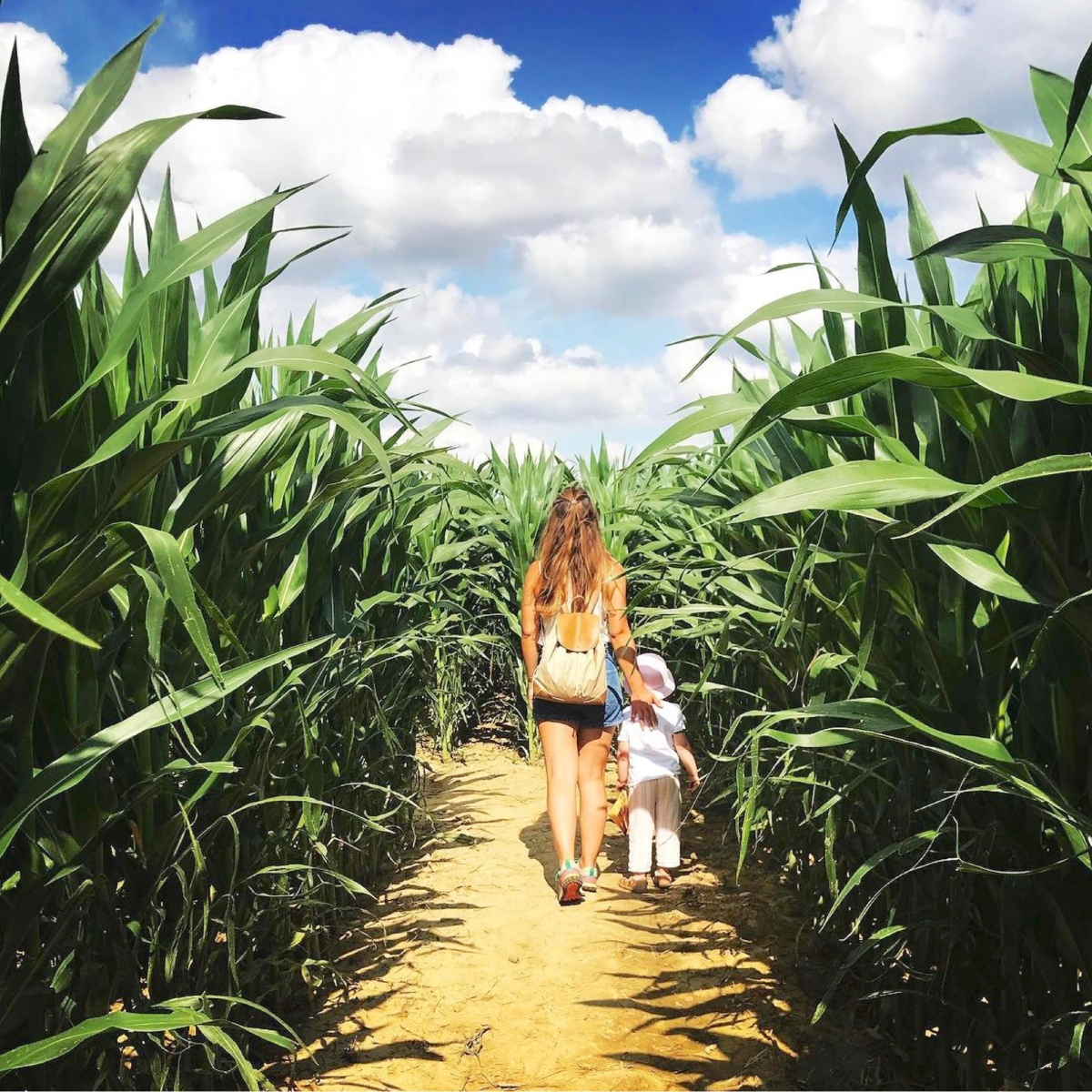 作為創辦人之一的Marie表示，自從新冠疫情肆虐全球以來，不少農民尋求多元化營運確保一定的收入來源，因此公司的這項計劃也吸引了不少農民參與。