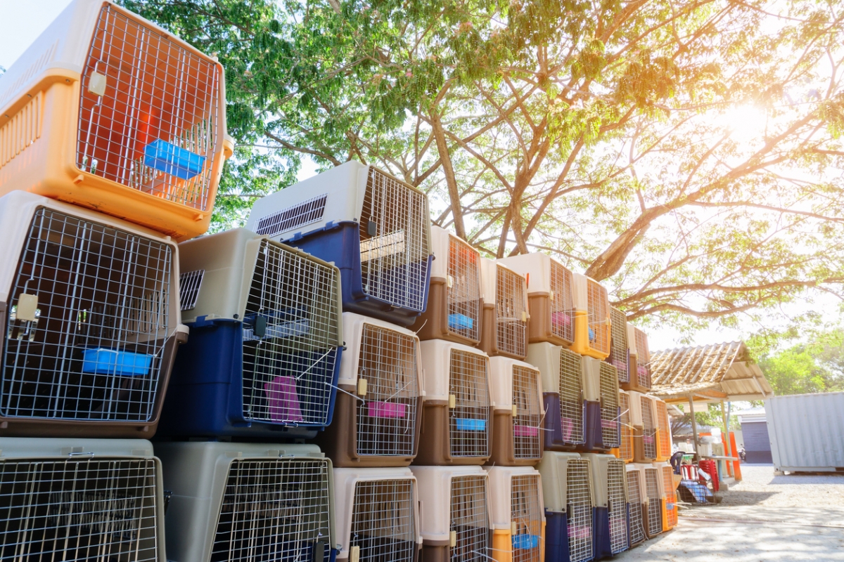 新法案同時加重遺棄或虐待寵物罰則，最高可判處監禁5年和罰款7.5萬歐元。