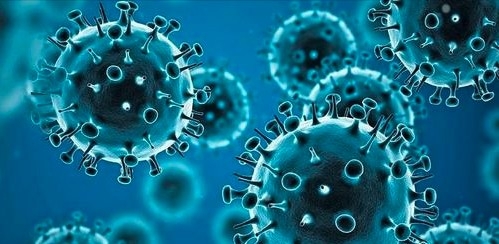 投資者先別睇小新型變種病毒Omicron影響。