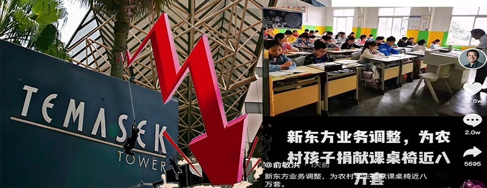 淡馬錫投資教育股如新東方，結果損失慘重。