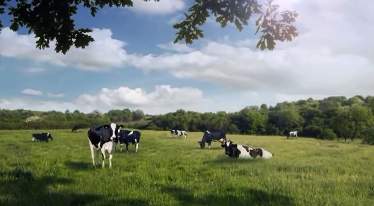 首爾牛奶上月發佈的新廣告因將女性描繪成乳牛掀起巨大爭議。