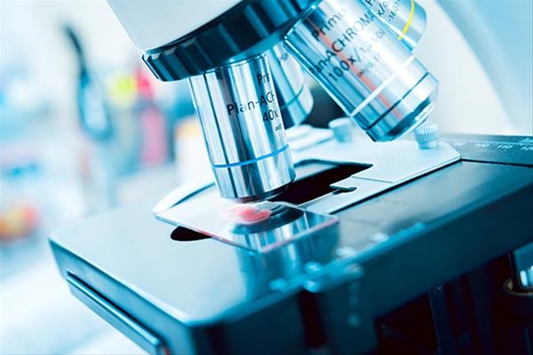 藥明生物(2269)當其時都宣布,不知悉任何或對業務運營造成重大不利影響的監管制度的變動,又擬啟動回購刺激股價。