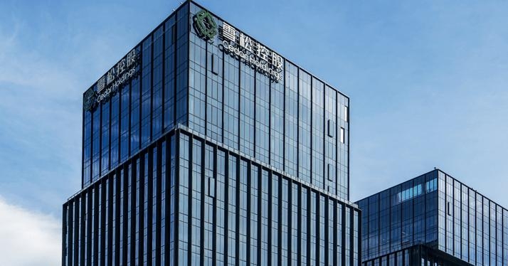 內地「世界500強」企業雪松控股傳出爆煲事件。