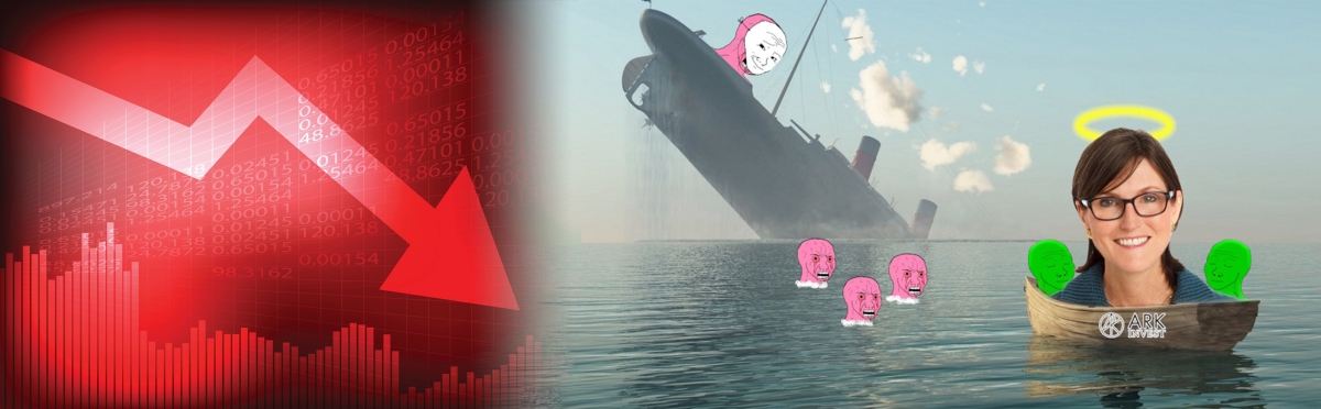 ARKK今年已跌28%,能否捱得住美股跌市?