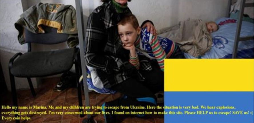 報告指,暗網中有一則募捐廣告使用了一張宣稱是烏克蘭難民母子的相片呼籲大衆捐款,但事實上這張相片卻是來自德國傳媒的一篇報道。