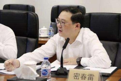 密春雷的覽海集團近年業務表現不理常。