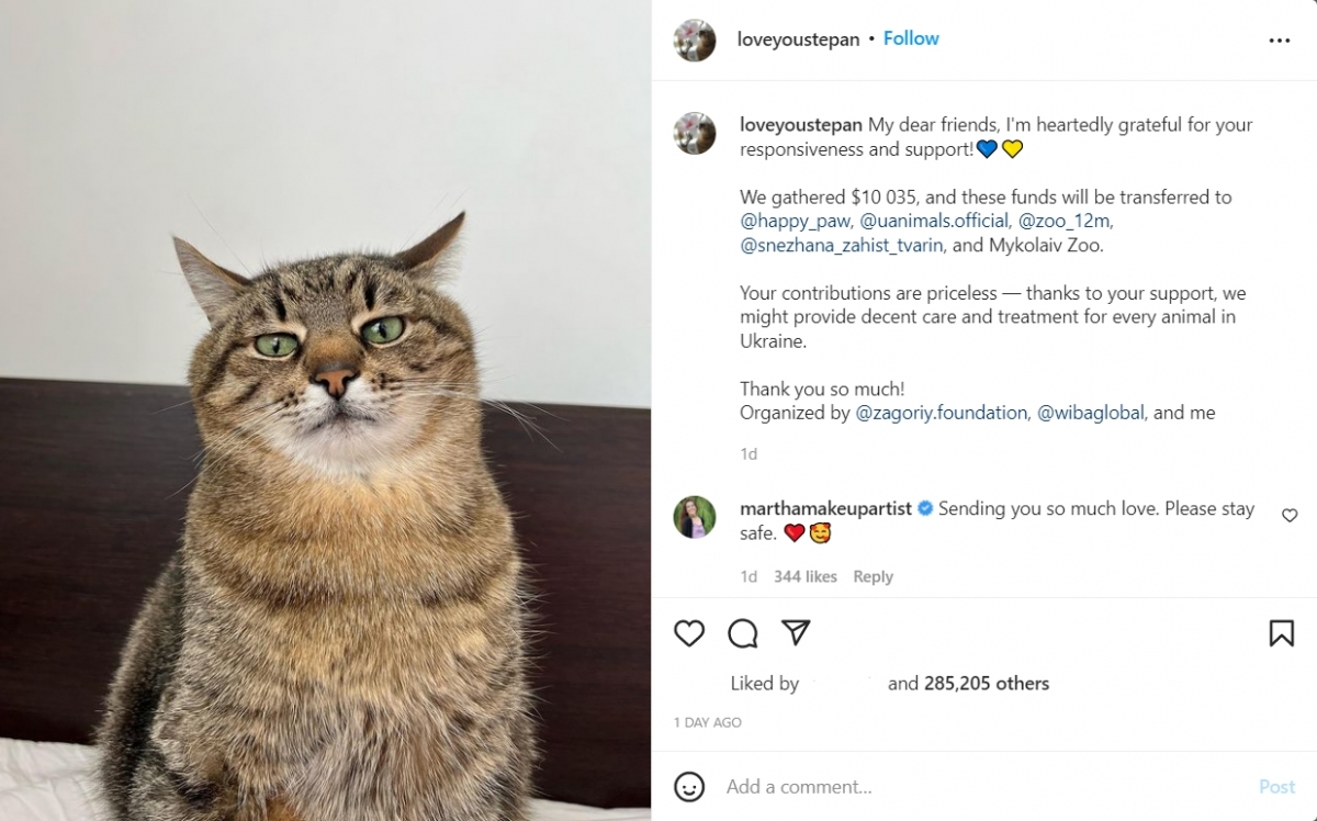 在短短的時間内,Stepan近期憑藉「一己之力」成功籌得1萬多美元,並宣佈所有資金用於救濟祖國的受難動物。