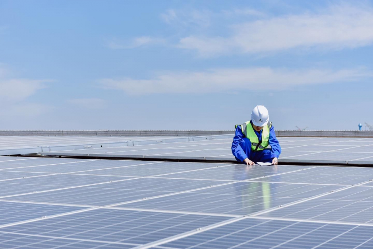 煤氣公司指會投資太陽能發電項目。