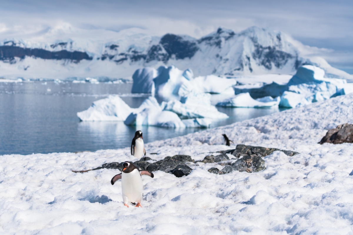Oleg Matveychev除了要求美國歸還阿拉斯加之外，更聲稱南極最早是由俄羅斯所「發現」，因此也理應屬於俄國。