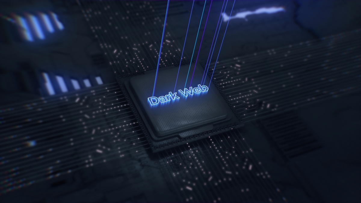 Hydra成立於2015年，主要經營包括買賣毒品、偽鈔和偽造身分文件等非法交易。