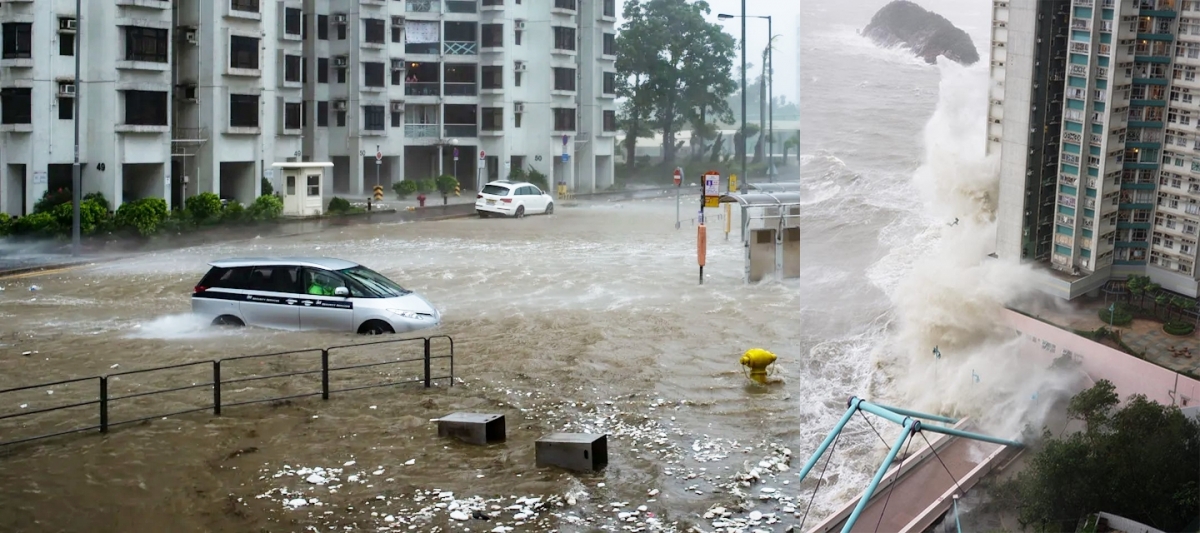  颱風天鴿及山竹襲港時，杏花邨及海怡半島曾遭巨浪侵襲。