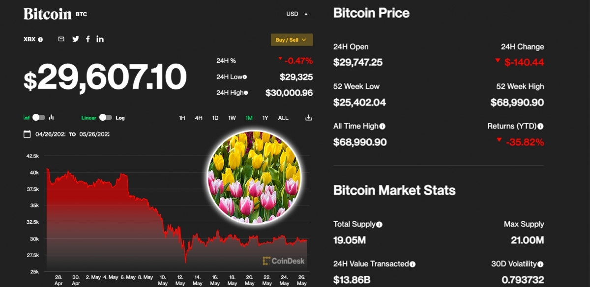 投資者憂慮「鬱金香泡沫爆破」會重演,令比特幣暴跌。