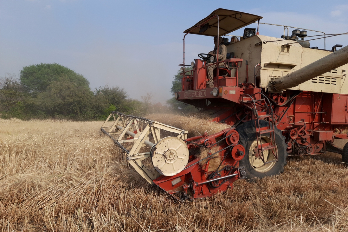 自從烏俄戰爭於今年2月開打以來，長期被稱為歐洲糧倉的烏克蘭出口遭到抑制，世界糧食價格飆升之餘也令全球陷入糧食危機。