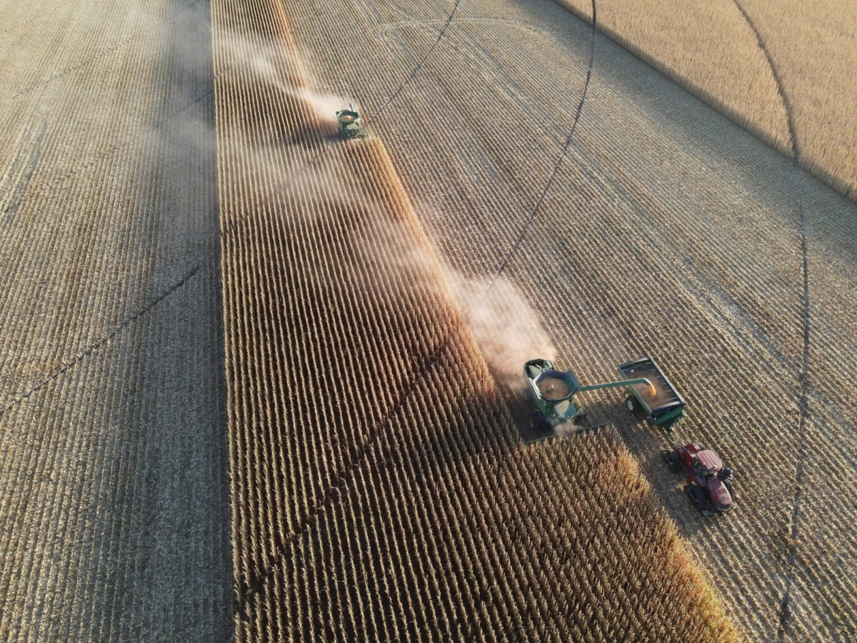 美國加州的「Pivot Bio」研發了使用天然的固氮細菌製作而成的微生物肥料，不但對環境更友善，最重要的是價格比化肥來得更便宜。