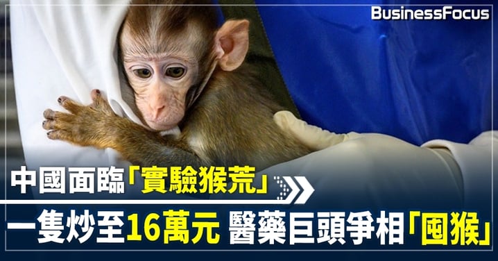 中國醫藥巨頭大舉「囤猴」實驗猴4年價格暴漲20倍