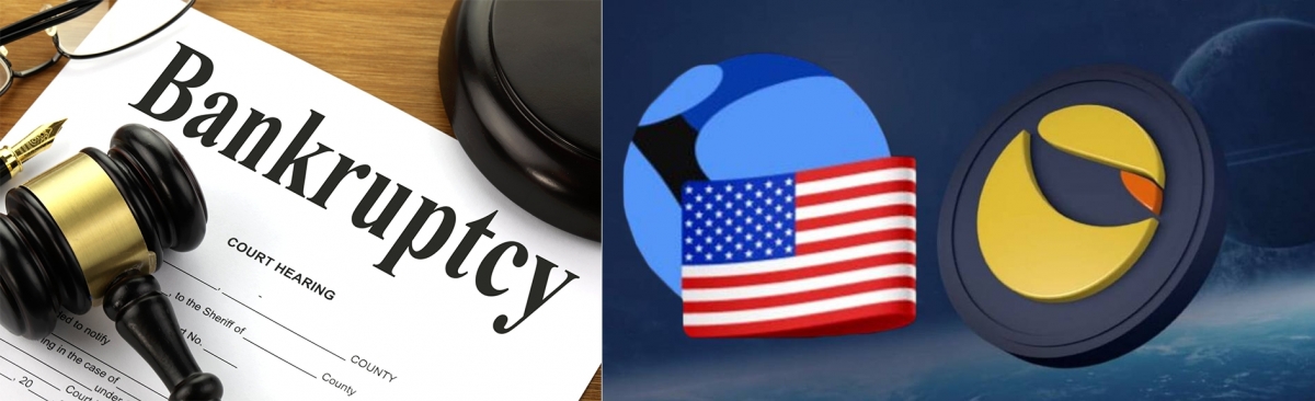 LUNA及UST虛幣的崩潰,引發幣圈多間公司破產。