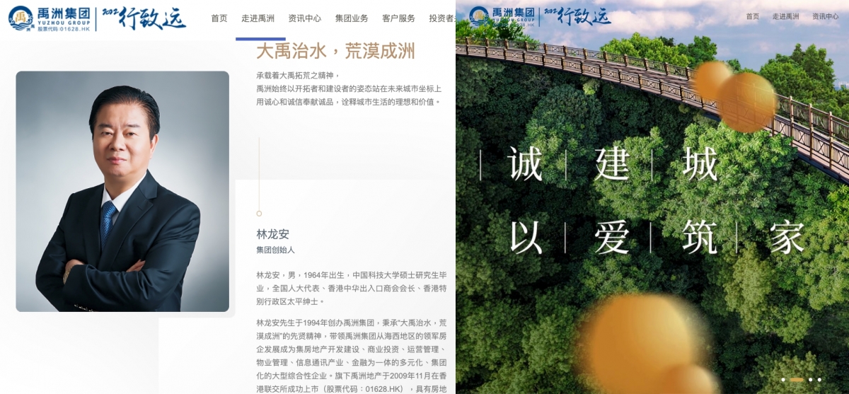 大股東林龍安今年6月辭任禹洲集團首席執行官等職務