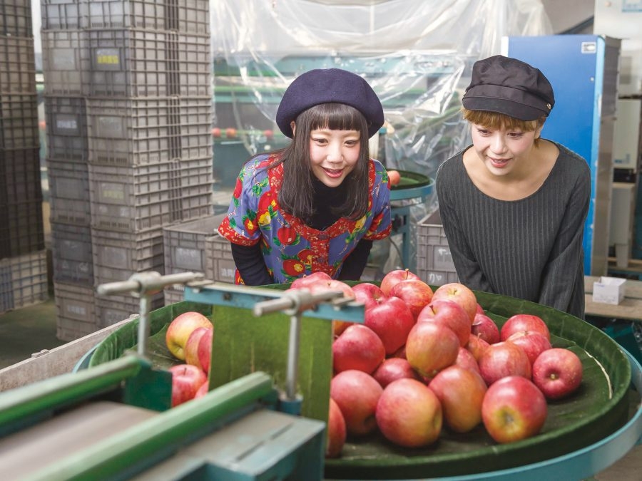 香港是青森蘋果的主要出口之一。