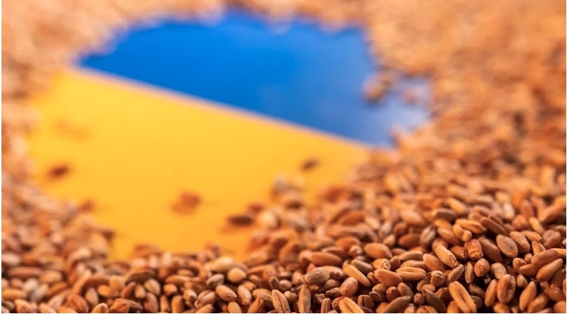 烏克蘭是第五大小麥出口國。